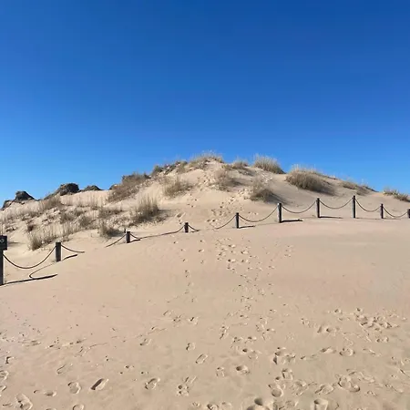 Yyterin Meriheinae * Пори