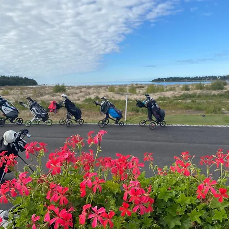 Yyterin Meriheinae Пори