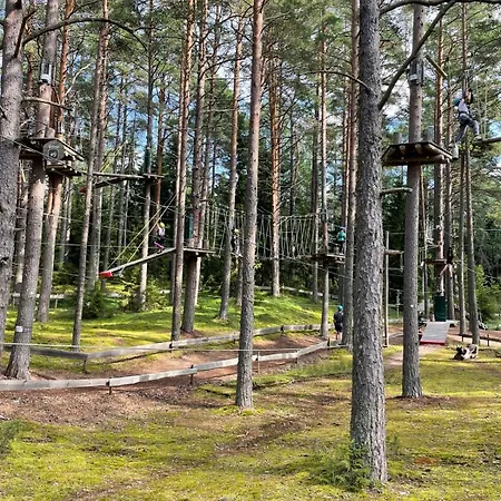 Yyterin Meriheinä