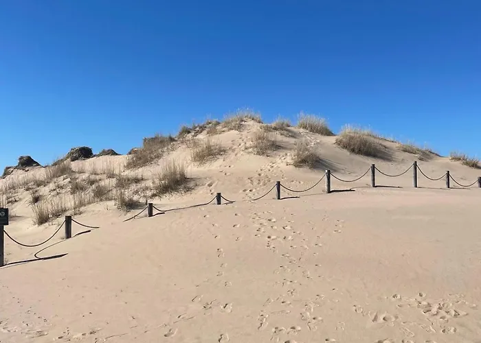 Yyterin Meriheinae * Pori