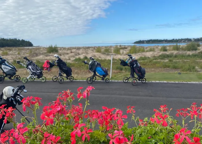 Yyterin Meriheinae Pori